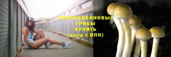 гашиш Богородицк