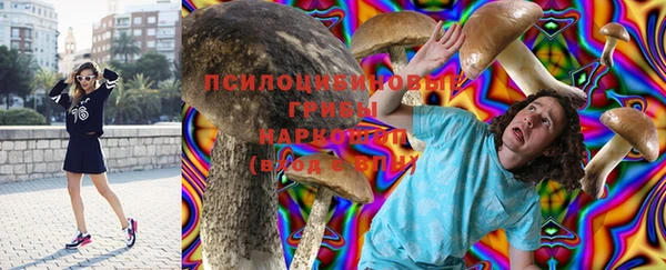 apvp Рославль