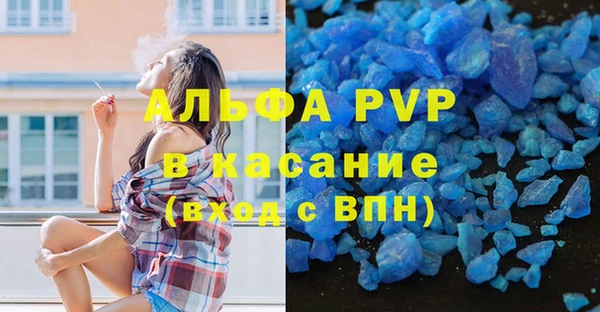 прущие крисы Богданович