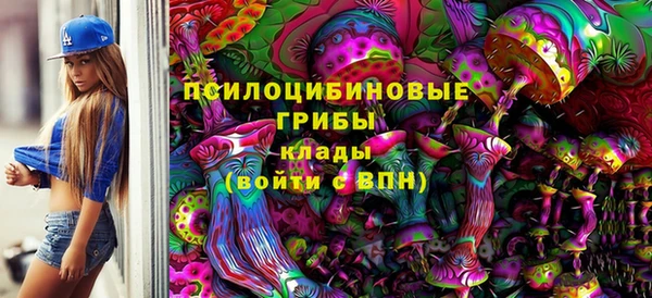 дживик Богородск