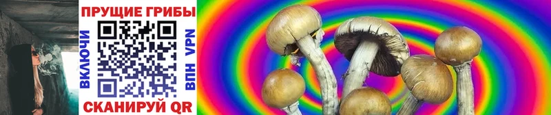 Псилоцибиновые грибы MAGIC MUSHROOMS  OMG вход  Нерехта 