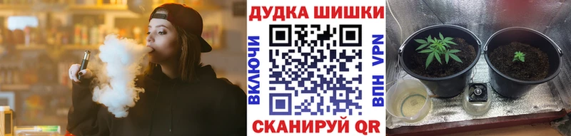 гидра где купить наркотик Нерехта Бошки Шишки планчик